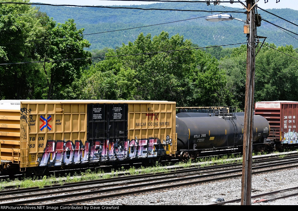 In the Shenandoah Yard